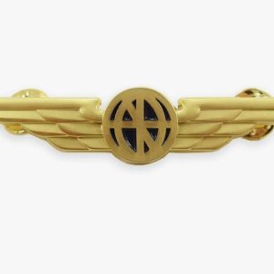 Captain Wings Pin