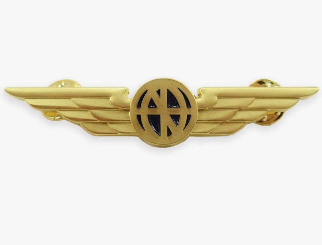 Captain Wings Pin