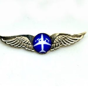 FO Wings Pin