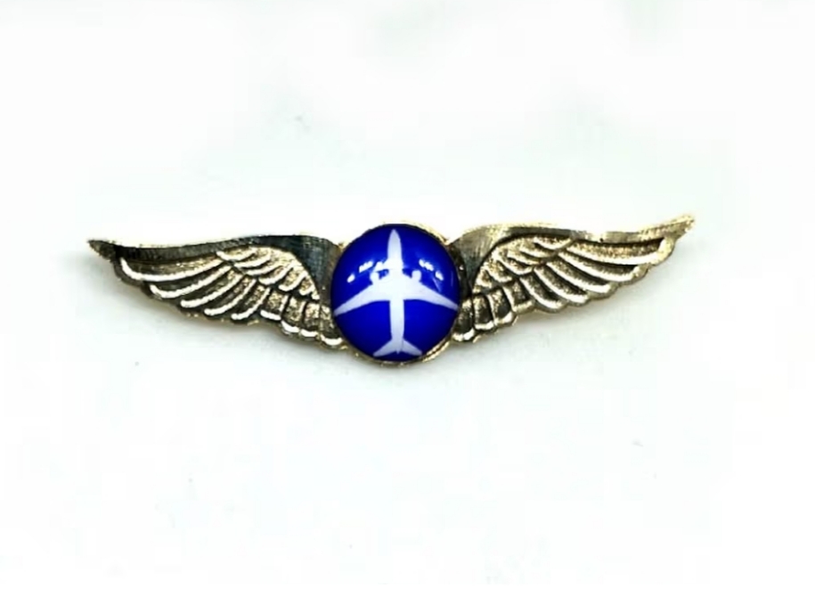 FO Wings Pin