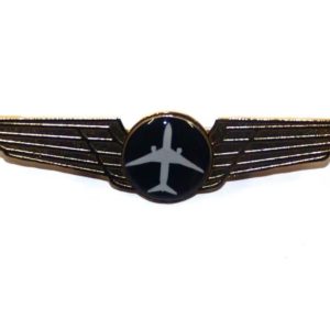 Student Wings Pin
