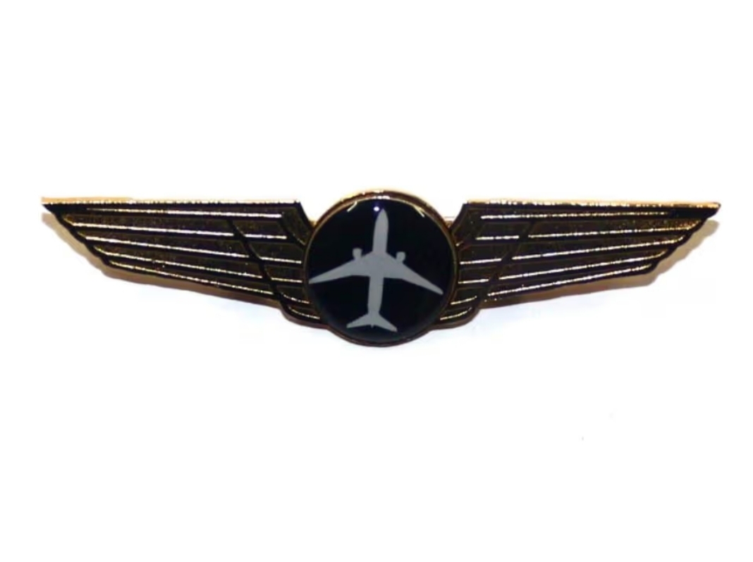 Student Wings Pin